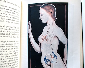 50s sex book - The Illustrated Encyclopedia of Sex- vintage, hardcover