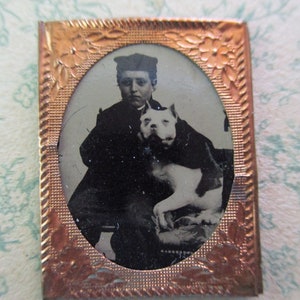 RARE antique miniature gem tintype photo - 1800s, boy with white dog, American Staffordshire terrier, gold floral frame, FREE SHIPPING