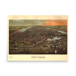 Bird&#39;s-eye view of New York, NY 1873