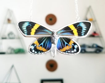 Day Forester Moth / Butterfly Jewelry / Butterfly Necklace
