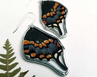 Black Swallowtail Earrings / Real ButterflyJewelry