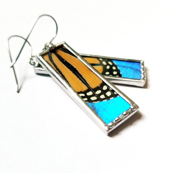 Real Monarch- Blue Morpho Butterfly Wing Earrings