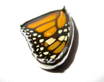 Real Monarch Butterfly Pendant