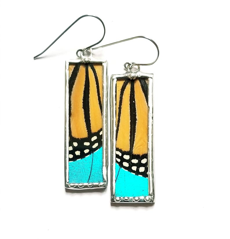 Real Monarch Blue Morpho Butterfly Wing Earrings image 5