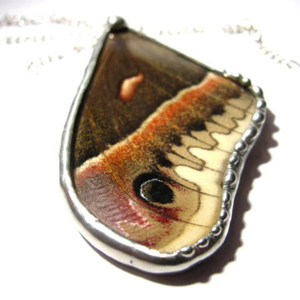 Moth / Real Cecropia Moth Wing Necklace / Moth Wing Jewelry