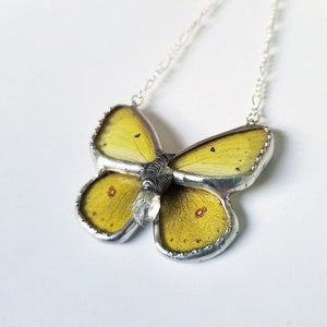 Yellow Sulphur Butterfly / Butterfly Jewelry / Butterfly Necklace