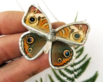 Real Buckeye Butterfly / Butterfly Necklace / Real Butterfly Necklace