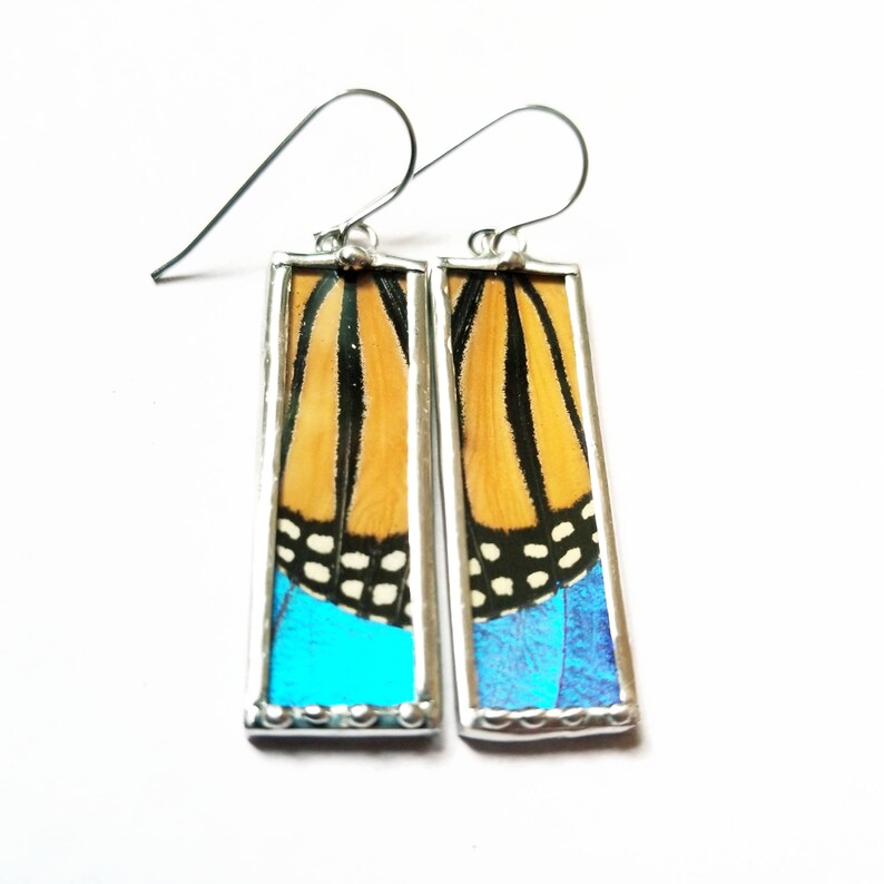 Real Monarch Blue Morpho Butterfly Wing Earrings image 3