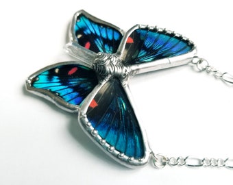 Blue Metalmark Butterfly Jewelry / Butterfly Necklace / Real Butterfly Necklace