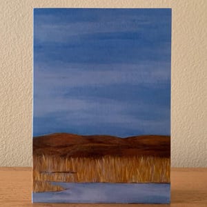Kaartenset wintervijver