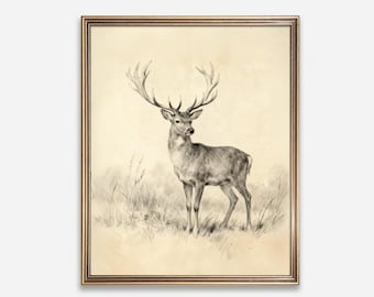 Vintage Stag Sketch Wall Art Rustic Woodland Cabin Decor Digital Download 445