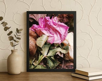 Peut inclure: Une impression encadrée présentant un gros plan d'une rose rose vif, entourée de feuilles brunes séchées et de feuillage vert. L'œuvre est présentée sur un fond neutre, créant un contraste saisissant. Le cadre noir ajoute une touche d'élégance à la composition florale.