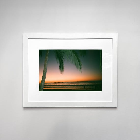 Palm Sunset