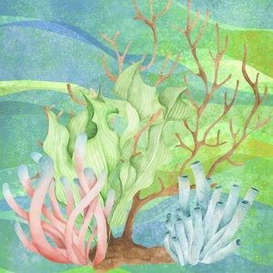 May include: Watercolor illustration of an underwater scene featuring coral and seaweed. The artwork showcases pink, green, and blue coral and seaweed against a backdrop of blue and green water. The style is soft and artistic.