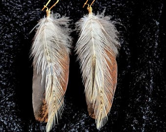 May include: A pair of feather earrings with gold-colored ear wires. The feathers are primarily brown, white, and gray, with a natural, textured appearance. The earrings are displayed against a dark, textured background.
