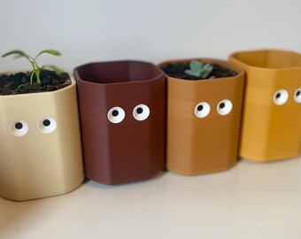 Fun Gift for Home Decor 3D printed Eco-Friendly Desk Plant Pot - Mr. Staring Jr.