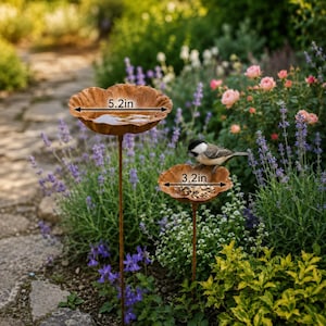 May include: Two copper-colored metal bird feeders on thin stakes. The larger bowl measures 5.2 inches in diameter and holds water, while the smaller bowl measures 3.2 inches in diameter and contains birdseed with a small bird perched on the rim.