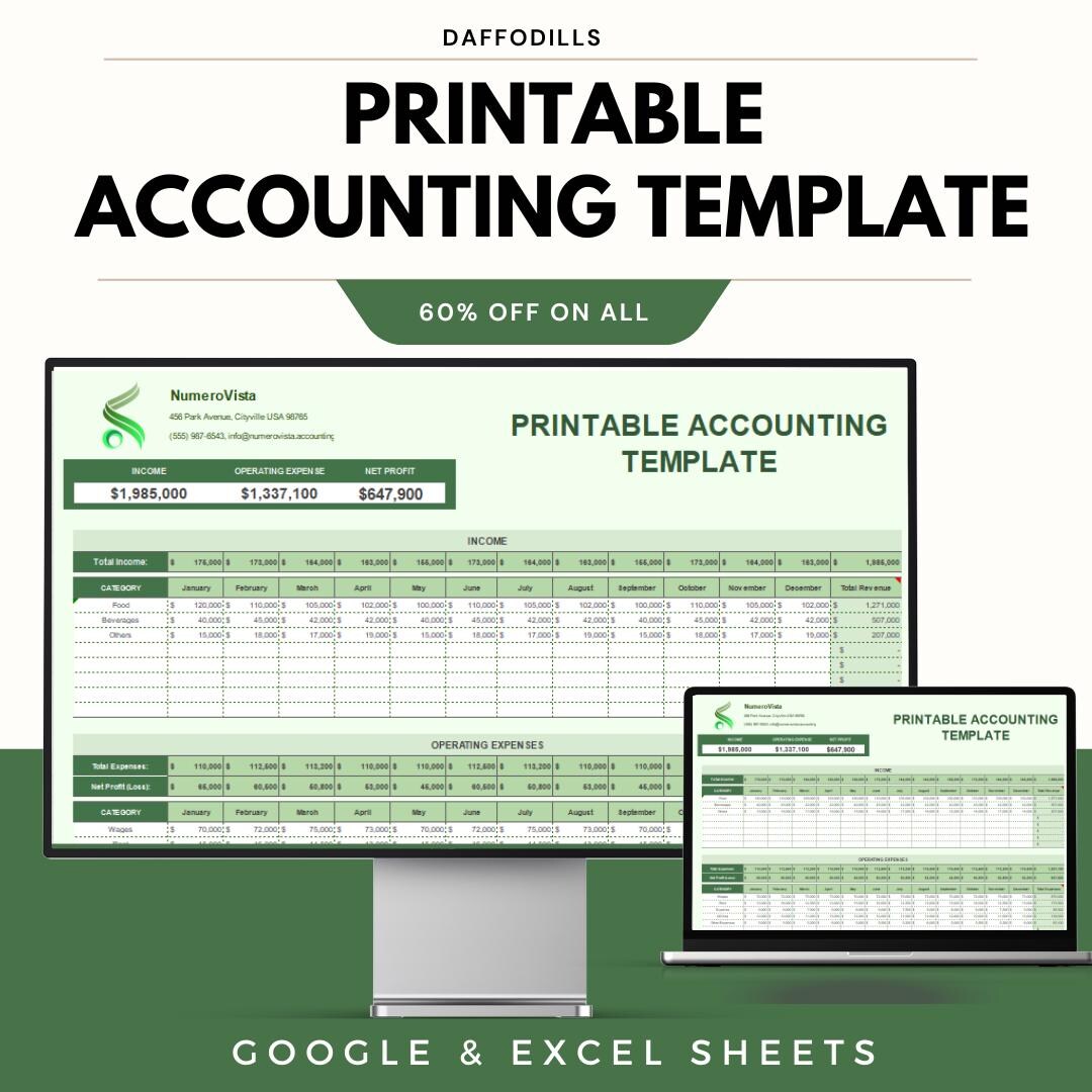 Printable Accounting Template, Income and Expense Tracker Excel ...