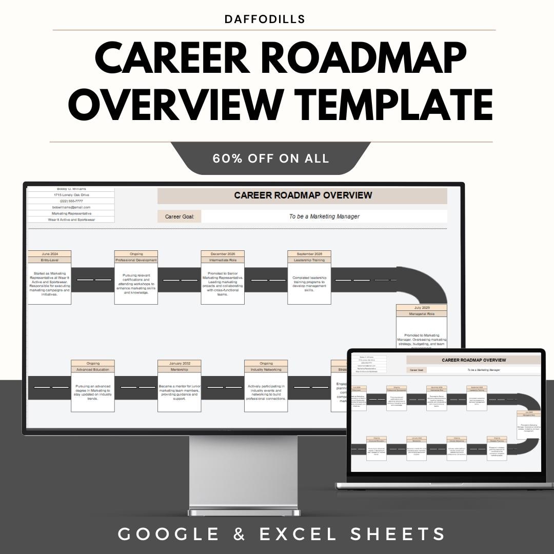 Career Roadmap Overview Template, Career Planning Excel Sheet, Career ...