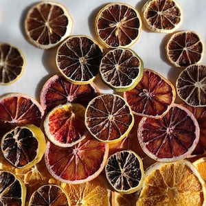 May include: A collection of dehydrated citrus slices including oranges, lemons, and limes. The fruit pieces are arranged in a scattered pattern, displaying deep red, orange, and yellow hues with visible pulp textures and thin, dried rinds.