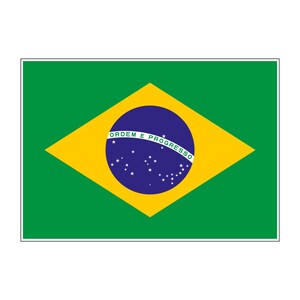 May include: The national flag of Brazil features a green rectangular field with a large yellow rhombus in the centre. Inside the rhombus is a blue circle containing a white band with the text ORDEM E PROGRESSO and multiple small white stars.