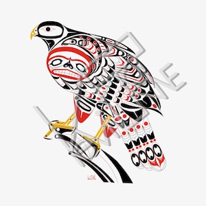 Hawk - Haida Pacific Northwest Coast Indian Art