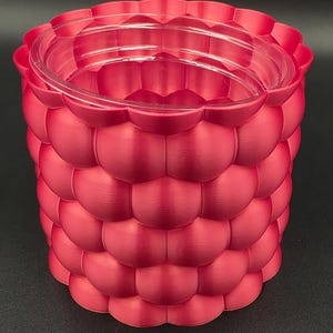 Puede incluir: Una maceta roja texturizada con un inserto de plástico transparente. El exterior de la maceta presenta un patrón de formas redondeadas en forma de burbujas. El borde superior tiene un diseño festoneado.