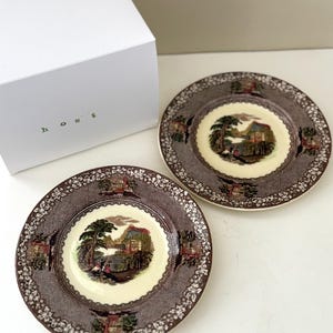 May include: Two round ceramic plates featuring a cream-colored center with a colorful landscape illustration of trees, mountains, and figures. The wide brown border has a detailed floral and geometric pattern. A white box with the text host is nearby.