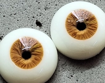 Light bronze eyes