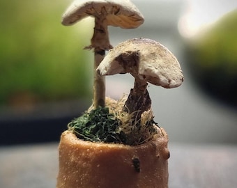 Miniature sculpture of mushrooms in the pot