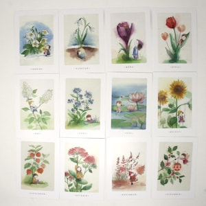 Set di 12 cartoline floreali di Stefanie Messing / Cartoline mensili / Immagine / Cartolina / Waldorf / Stagione / Tabella della natura / Tabella delle stagioni