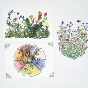 Bonheur des prés et cercle annuel ensemble / cartes postales / carte postale / Waldorf / saison / table nature / été / printemps
