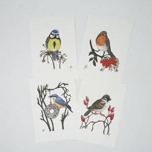 Ensemble oiseaux / cartes postales / carte postale / Waldorf / saison / table nature / été / printemps