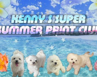 Monthly Print Club - SUMMER EDITION