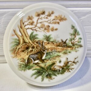 Könnte beinhalten: Ein weißer Keramikteller mit einem braunen Baum und zwei Kaninchen in einer Waldszene. Die Kaninchen sind braun und weiß und von grünen Farnen und braunen Ästen umgeben.