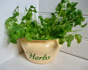 Vintage Enamel Herb Pot Yellow and Green Indoor Plant Pot