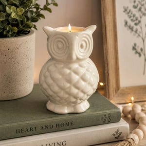 May include: A white ceramic owl-shaped candle holder with a textured, scalloped feather pattern and large circular eyes. A small lit candle sits inside the top opening of the owl figure, which is positioned on top of two stacked hardcover books.