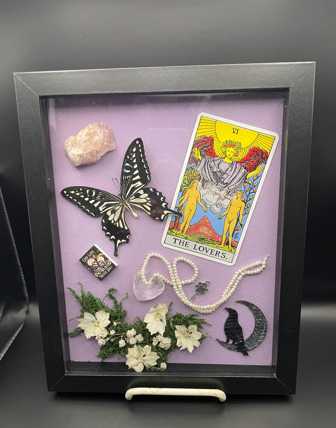 Preserved Butterfly Specimen Shadowbox - Etsy