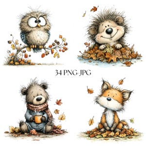 May include: A digital illustration set featuring four woodland animals: a wide-eyed owl on a branch, a hedgehog in autumn leaves, a bear wearing a scarf and holding a mug, and a fox sitting in leaves. The text 34 PNG-JPG is centered.