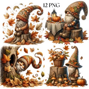 May include: A collection of four autumn-themed gnome illustrations. Each gnome is depicted with a long white beard, wearing a hat and fall-colored clothing. The gnomes are surrounded by autumn leaves, pumpkins, and mushrooms. The text "12 PNG" is in the upper right corner.