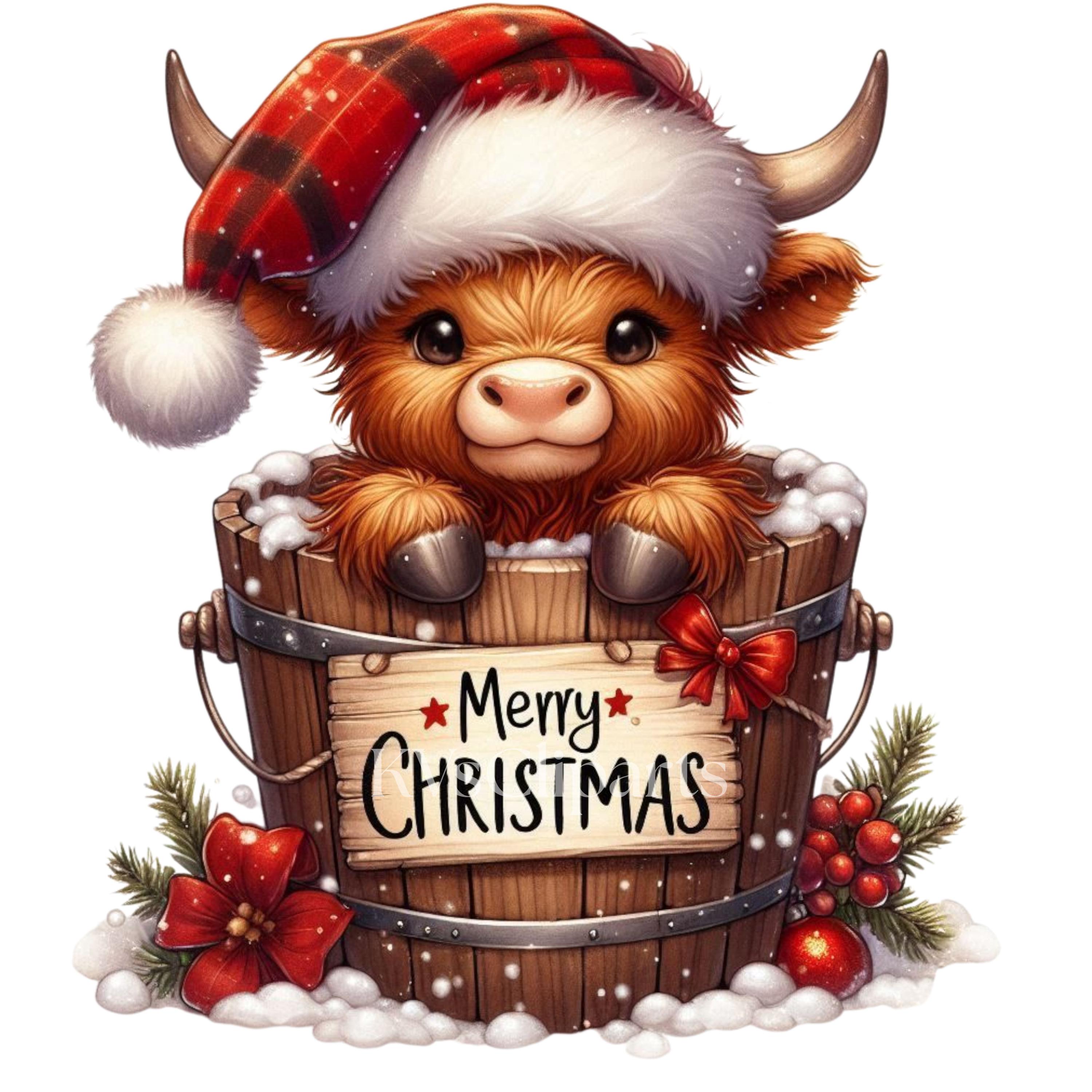 Christmas Highland Cow Clipart, 15 PNG Winter Holiday Baby Cow, Cute ...