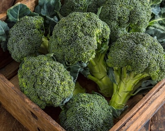 May include: Fresh green broccoli florets and stems are displayed in a rustic wooden crate. The broccoli is a vibrant green color, with tightly packed, textured florets. The crate is made of light brown wood, and the background is a dark brown wooden surface.