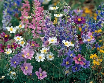 Wildflower Seeds - Partial Shade Mix 1000 Seeds