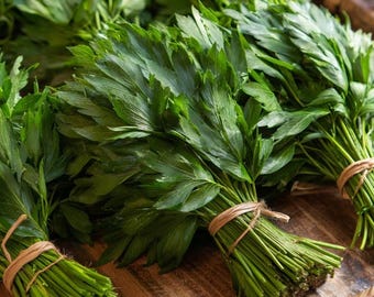 May include: Several bundles of fresh, green lovage herbs are displayed on a wooden surface. Each bundle is tied with twine, showcasing the vibrant green leaves and stems. The image highlights the natural texture and color of the herbs.