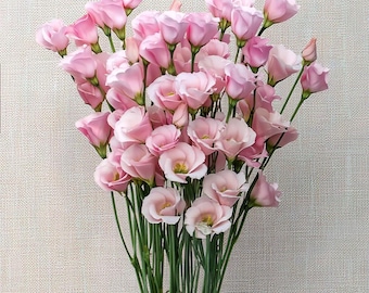 May include: A bouquet of pink lisianthus flowers with multiple blooms and buds. The flowers have delicate, layered petals and are set against a neutral background. The stems are long and green, creating a visually appealing arrangement.