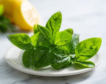 May include: Fresh green basil leaves arranged on a white plate, with a lemon slice in the background. The basil has vibrant green leaves, and the plate has a decorative edge. The image is set against a marble surface.