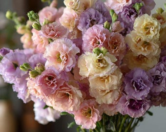 May include: A lush bouquet of pastel-colored flowers, including shades of pink, peach, lavender, and cream. The flowers have multiple layers of delicate petals and green buds, arranged in a clear glass vase.