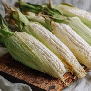May include: Several ears of white corn, still in their green husks, are arranged on a rustic wooden cutting board. The corn kernels are a creamy white, and the husks have a mix of green and tan colors. The image is a close-up, highlighting the texture and freshness of the corn.