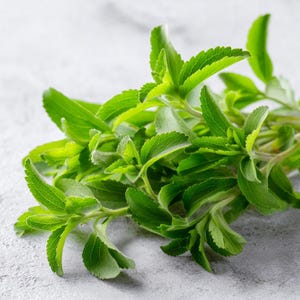 May include: Close-up of fresh green stevia leaves, a natural sweetener, on a light gray surface. The leaves are vibrant and detailed, showcasing their texture and shape. The image highlights the plant's freshness and natural appeal.