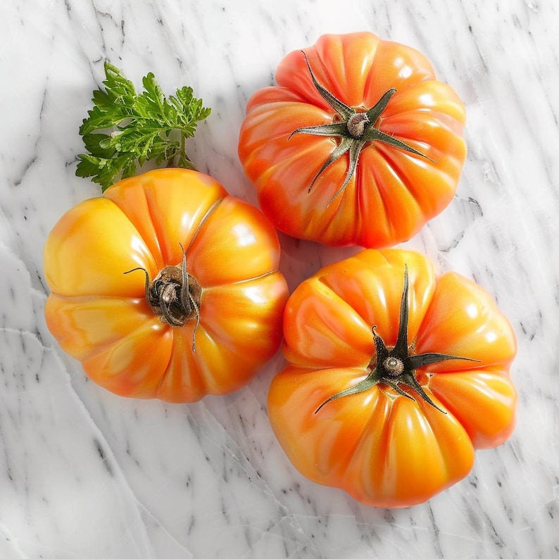 May include: Overhead shot of three ripe, heirloom tomatoes with a vibrant orange hue. The tomatoes have a ribbed texture and are arranged on a white marble surface, with a sprig of green parsley.
